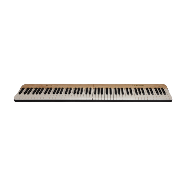 Crown Portable Magnetic Split Digital Piano