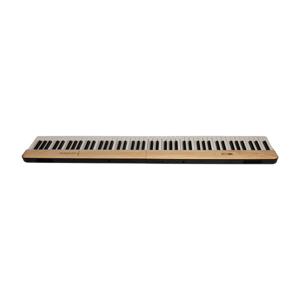 Crown Portable Magnetic Split Digital Piano