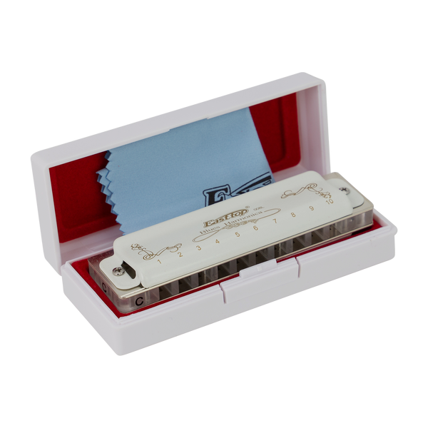 East Top 10 Hole Professional Blues Harmonica D
