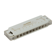 East Top 10 Hole Professional Blues Harmonica D