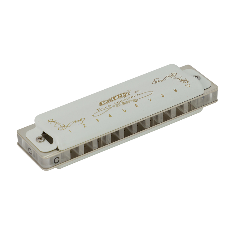 East Top 10 Hole Professional Blues Harmonica C