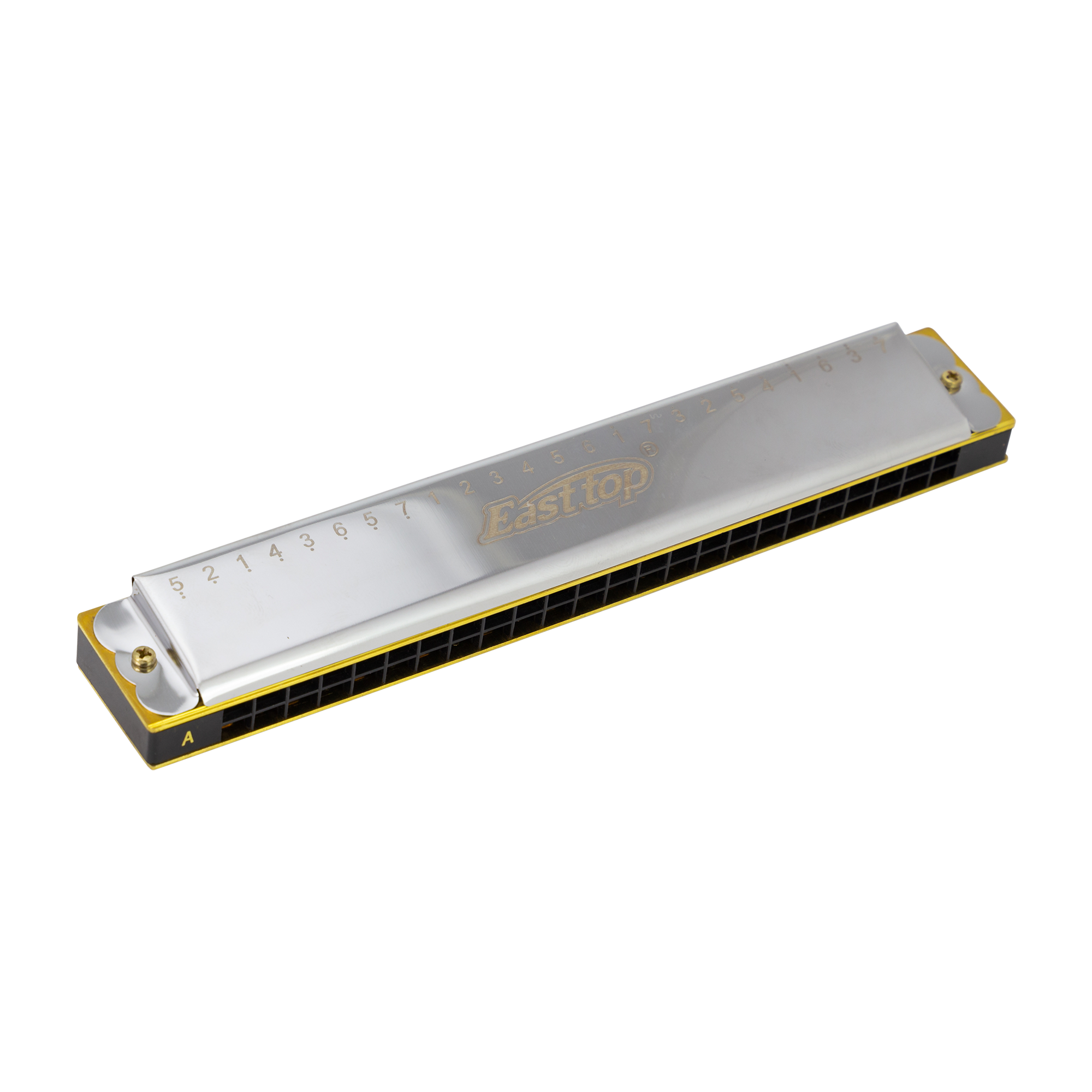 East Top 24 Hole Accent Tremolo Harmonica G