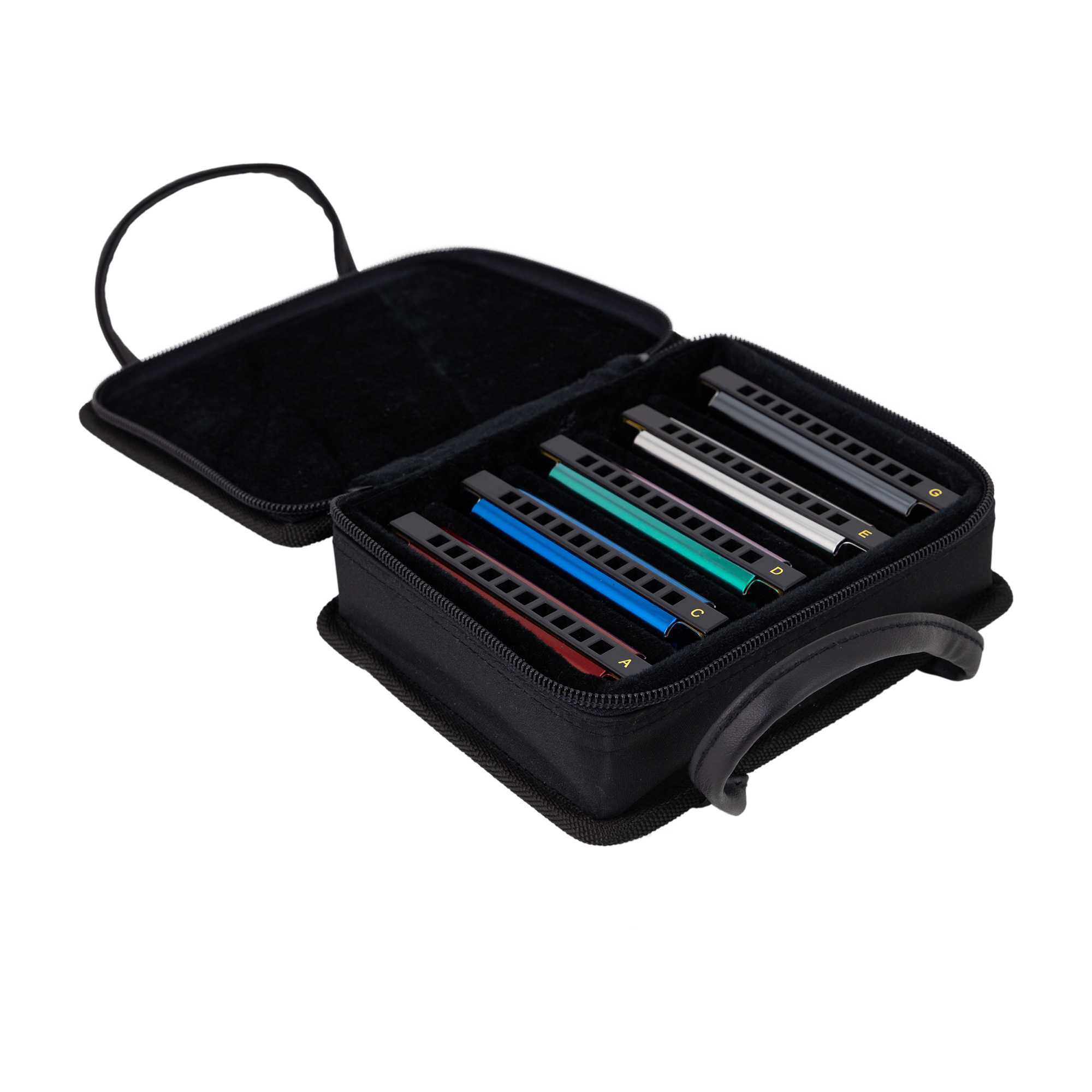 East Top Set of 5 Blues Harmonica's with Case