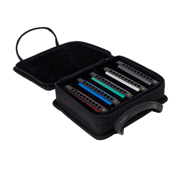 East Top Set of 5 Blues Harmonica's with Case