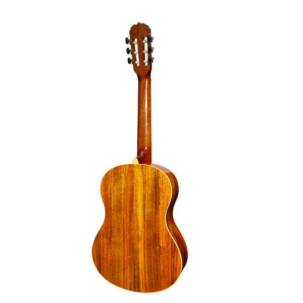 Sanchez Full Size Student Classical Acoustic Guitar Rosewood (Gloss)