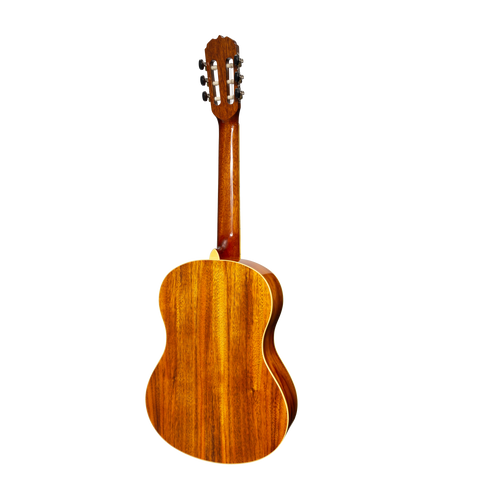 Sanchez Full Size Student Classical Acoustic Guitar Rosewood (Gloss)