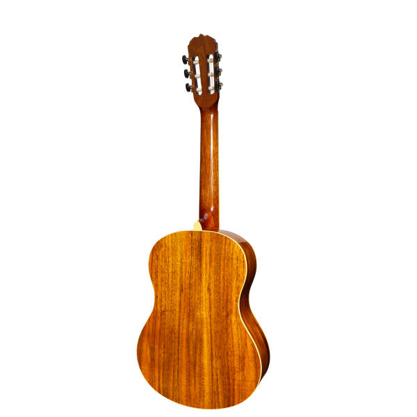 Sanchez Full Size Student Classical Acoustic Guitar Spruce Rosewood (Gloss)