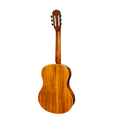 Sanchez Full Size Student Classical Acoustic Guitar Spruce Rosewood (Gloss)
