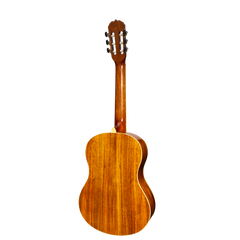 Sanchez Full Size Student Classical Acoustic Guitar Spruce Rosewood (Gloss)