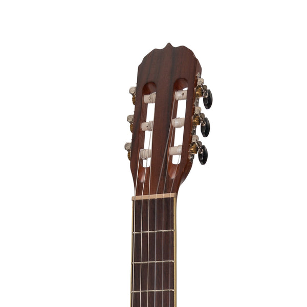 Sanchez Full-size Size Student Classical Guitar with Gig Bag (Rosewood)