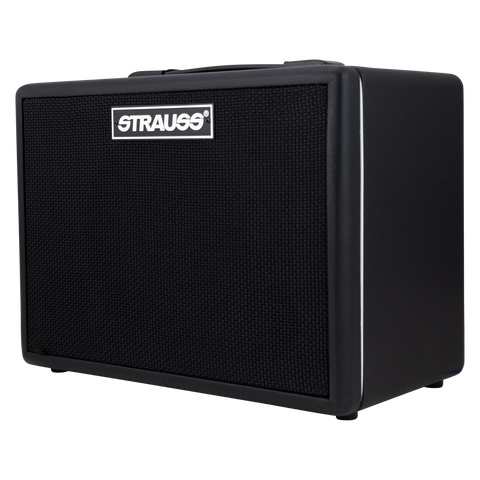 Strauss BN15 15 Watt Vintage Bass Combo Amplifier (Black)