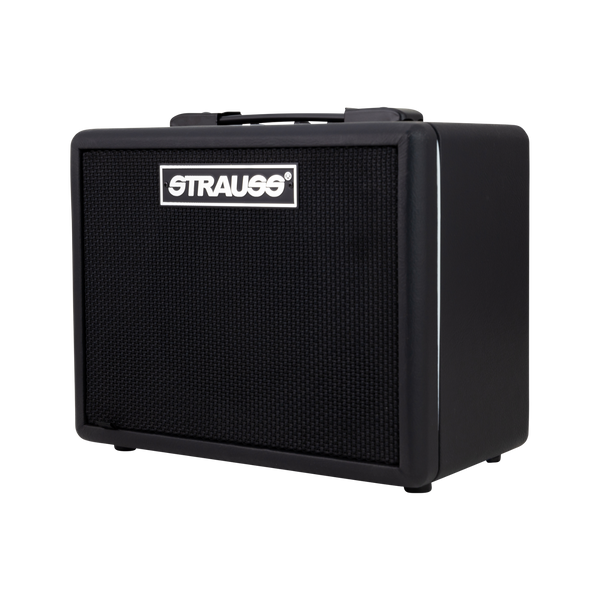 Strauss GN10 10 Watt Vintage Guitar Combo Amplifier (Black)