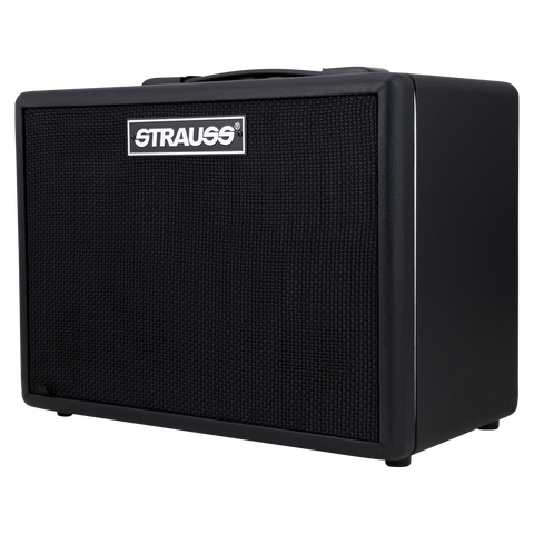 Strauss GN15 15 Watt Vintage Guitar Combo Amplifier (Black)