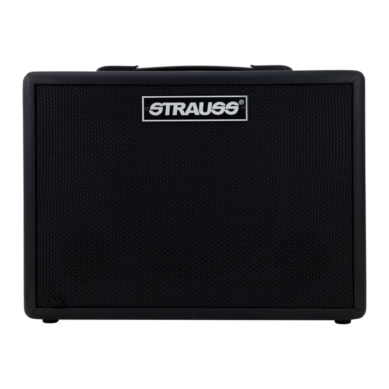 Strauss GN15 15 Watt Vintage Guitar Combo Amplifier (Black)