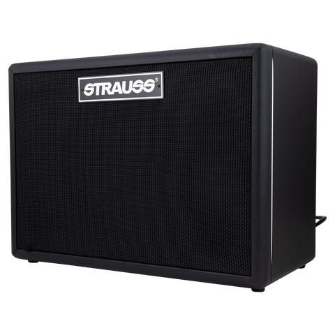 Strauss GN30 30 Watt Vintage Guitar Combo Amplifier (Black)