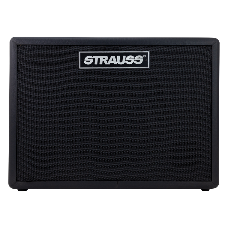 Strauss GN30 30 Watt Vintage Guitar Combo Amplifier (Black)