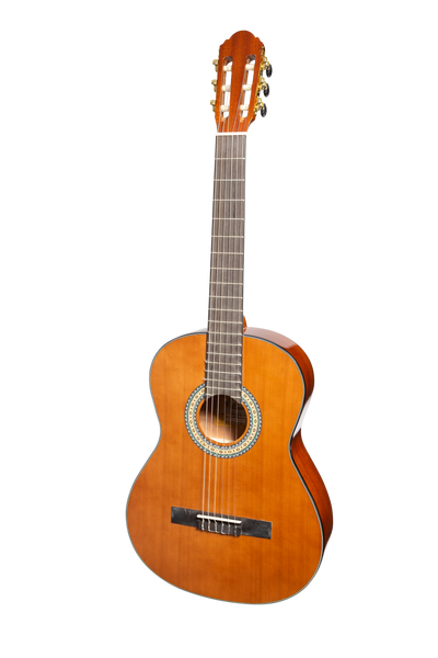 Martinez G-Series Full Size Student Classical Guitar Pack with Built In Tuner (Natural-Gloss)