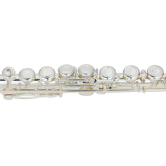 Steinhoff Twin-Head Intermediate C Flute (Silver)