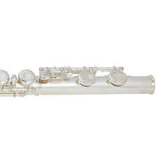 Steinhoff Twin-Head Intermediate C Flute (Silver)